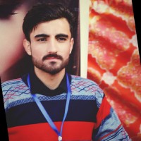 Salman Bacha