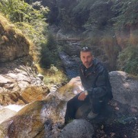 Ionel Nica