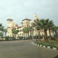 Ahmed Abedelazez