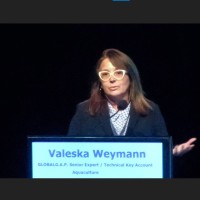 Valeska Weymann