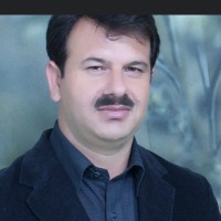 Syed Kashif Bokhari