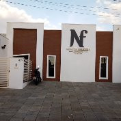 Newton Ferreira