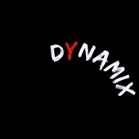 Dynamix Consulting