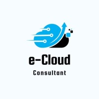 E-Cloud Pioneer
