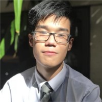 Viet Hung Tran
