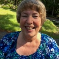 Lisa Minor