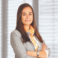 Dilek Terzi-Budan