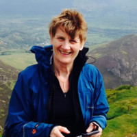 Lynne Constantine