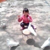 胡静茹