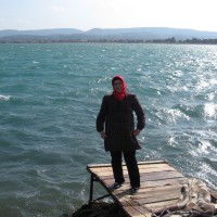 Betül teksakallı çakır