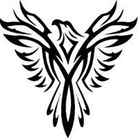 Phoenix Srl