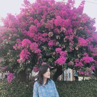 Bích Phượng Huỳnh Thị
