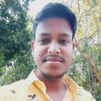 Palash Roy