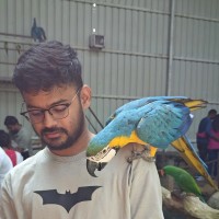 Veera Sekhar