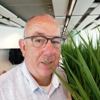 Gerard Demandt