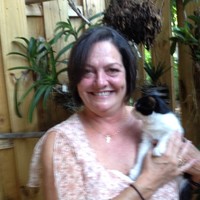 Tracy Fryer
