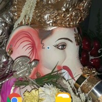 Harshada Shenoy