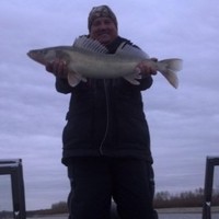 Dave Mecham