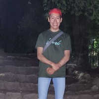 leonardo torres