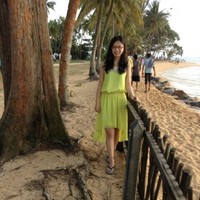 Liz Han