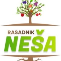 Rasadnik Nesa