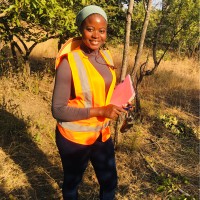 Zulifawu Salifu