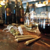 Two Lakes Tours/ Niagara Weed And Wine Tours