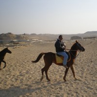 abdelrahman alfadel