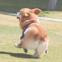 任宏亮