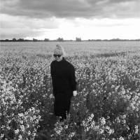 Alyce Le Maistre