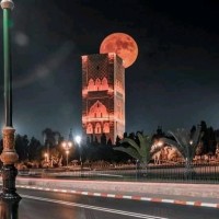 morad reda