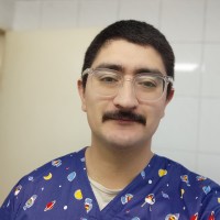 Nicolás Seguel Molina