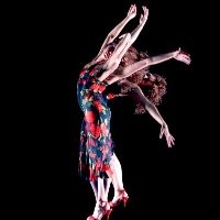 Sanna Lotze