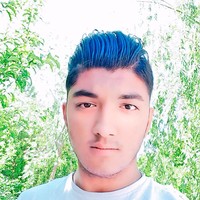 Javid Ali