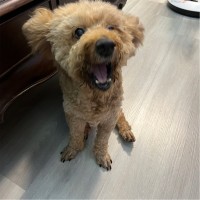 Keng Wei (Willy) L.