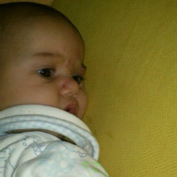 Mohamed F Khalil