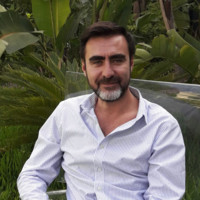 Julio Roque Sotelo