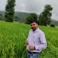 Kardani Kalpesh Kumar D