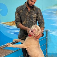 Vamsi Raju