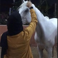 Naema Rashed