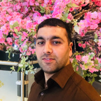 Riaz Ali