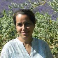 Shafali Shafali