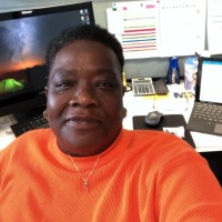 Robin L. Wilson