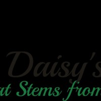 Daisys Love