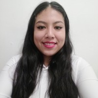 Joselin Pérez González