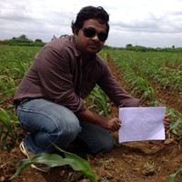 Anil Kumar