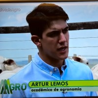 Artur Trivelato Lemos