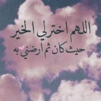 Z Ali