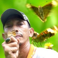 eko novianto