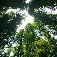 林小艳